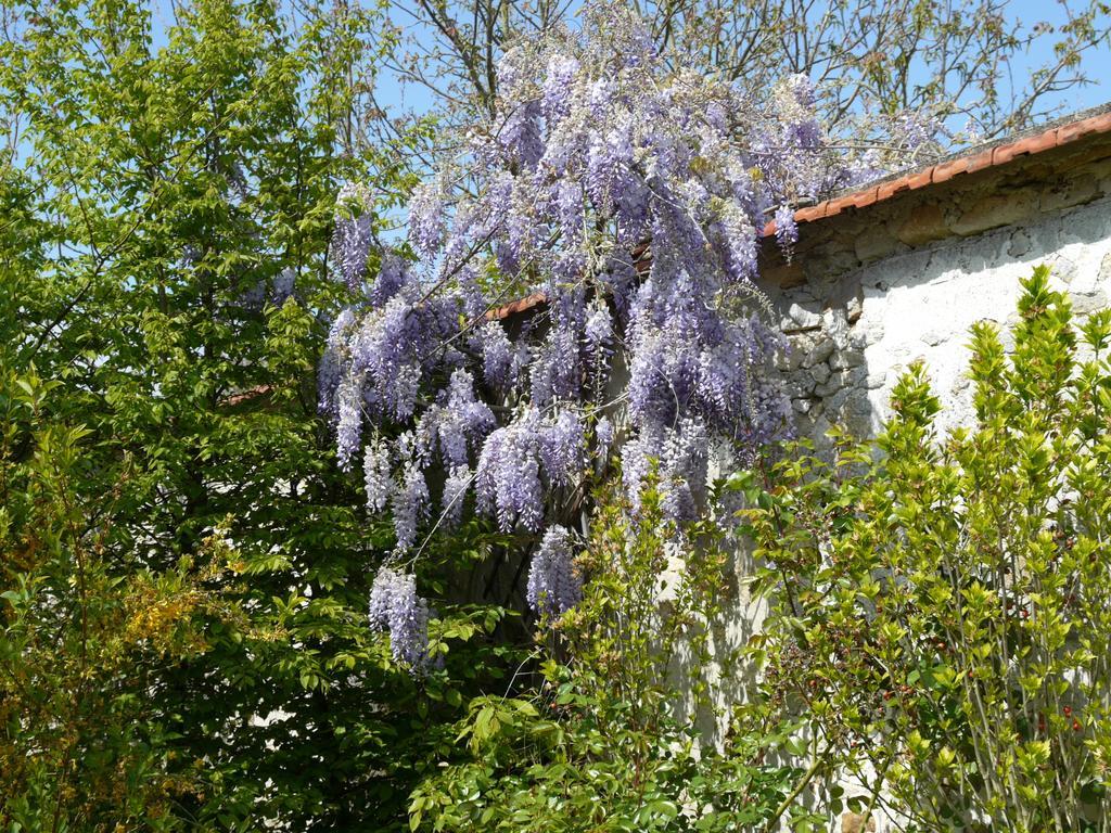 Gites De La Grande Ferme Avernes Rom bilde